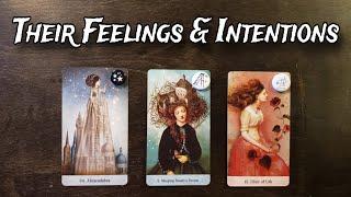  Their Current Feelings & Intentions Towards You  Pick A Card Love Reading 