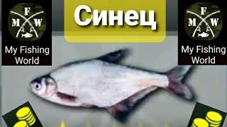 My Fishing World Синец ловим один за одним