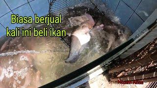 BIASA JUAL ,KALI INI BELI  IKAN