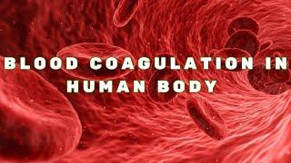 Blood coagulation in human body. learn quest