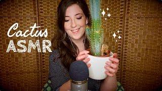 ASMR Prickly Cactus Sounds for Tingles