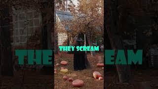 A fact about HALLOWEN you didn't need to know