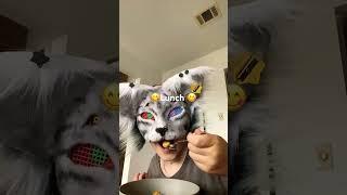 Day in the life as a Therian