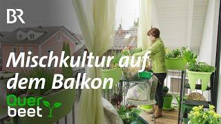 Mischkultur auf dem Balkon - Tipps von Sabrina