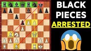 Petrov' Defense Cochrane Gambit For White