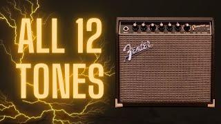 All 12 Fender Champion 20 Tones Back-To-Back!