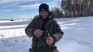 КАРЕЛИЯ/РЫБАЛКА НА БОЛЬШОМ ОЗЕРЕ/ИЩЕМ СБЕЖАВШУЮ ФОРЕЛЬ.KARELIA/FISHING ON THE BIG LAKE/ ESCAPED TROU