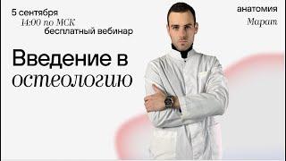 Введение в остеологию | Позвонки | Нормальная анатомия | Медвуза