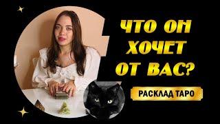 ТАРО РАСКЛАД! ЧТО ОН ХОЧЕТ ОТ ВАС? ЕГО НАМЕРЕНИЯ?