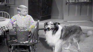 Lassie️ A Christmas Story️Christmas Special ️Christmas Movie For Kids 