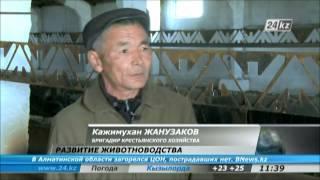 Развитие животноводства