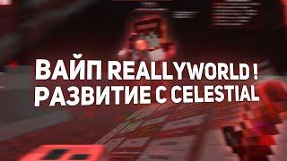 РАЗВИТИЕ ПОСЛЕ ВАЙПА НА REALLYWORLD С КРЯКОМ CELESTIAL RECODE ! СЛИВ НОВОГО КРЯКА CELESTIAL !