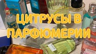 Летние ароматы. Позитивные ноты в парфюмерии. Ароматы солнца. Цитрусовые ароматы. Ароматы отпуска.