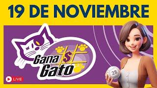 Sorteo GANA GATO de Hoy 19 de Noviembre 2024 