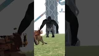 Gorilla ##shortvideo