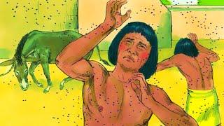 Bible Summary Series Part 87 -The 7th Plague