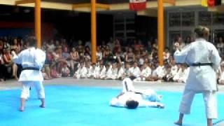 exhibicion de karate LK2010