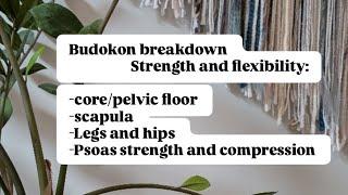 Budokon breakdown: strength and flexibility 1