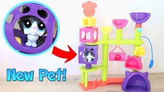 New Pets and Playsets! || LPS Cat Hideaway