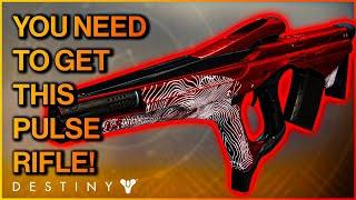 This Pulse Rifle is AMAZING in PvP and PvE! | Sacred Provenance Crucible Highlights (Destiny 2)