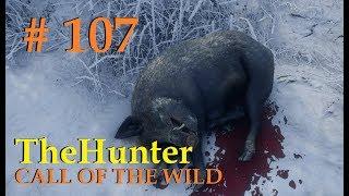 Мир охоты theHunter Call of the Wild # 107