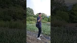 province life Korea  #shorts #youtubeshorts