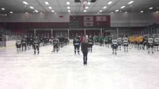 Ice-Dancers for Mental Health -- The Hockey Project