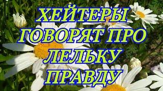 Деревенский дневник очень многодетной мамы / Обзор / Хейтеры говорят правду.