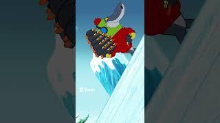 Wildlife documentary #Shorts #Zigandsharko Zig & Sharko | Cartoon for kids