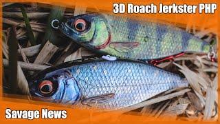 3D ROACH JERKSTER PHP  von Savage Gear mit Tom Heyer