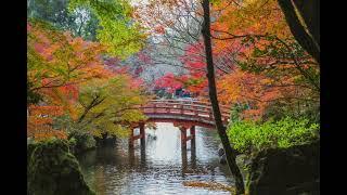 Japanese Garden Relaxing Sounds | Audio Libre Library