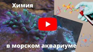 Химия в морском аквариуме