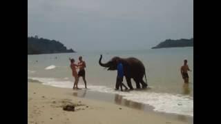 Лучшее видео пляжа Кай Бей (Kai Bae) на Ко Чанге (Koh Chang). Купание слонов