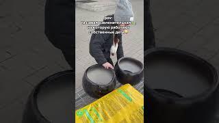 #комнатныерастения #уходзарастениями #фитодизайн #озеленение