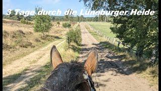 Wanderritt mit Hunden Lüneburger Heide 3 Tage | Wanderreiten |Wanderritte zum Nachreiten