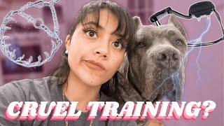 Slip Leads vs Prong Collars vs E-Collars - Cane Corso Training