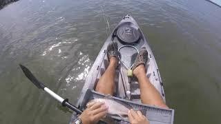 Fishing Southern Maryland & Beyond: Patuxent River (summer 2017)