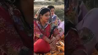 rozina Saeed village life viral video tiktok