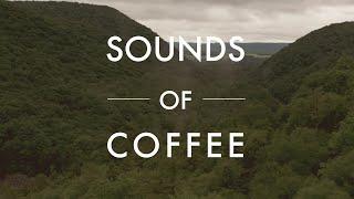 Sounds of Coffee