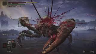 Elden Ring builds: The Blood Dragon