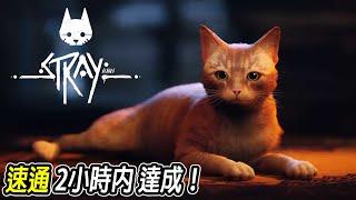 浪貓速通～2小時內達成～白金獎盃【Stray 浪貓 | Jaster】