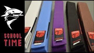 Jiu-Jitsu BJJ Belts Explained