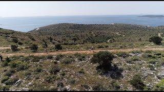 XTERRA Greece 2019 Race Report