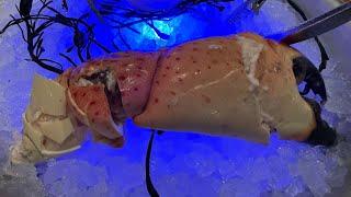 PB Catch 'Colossal Stone Crab Claws' Palm Beach, FL Dec. 2024