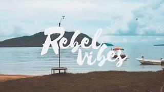 Rebelvibes  - Local Diary / Inksparation