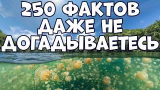 250 INTERESTING FACTS THAT YOU DIDN'T EVEN KNOW ABOUT