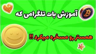 آموزش باتی که همستر رو مسخره میکرد