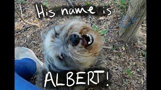His Name is Albert!