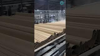 cardboard production line