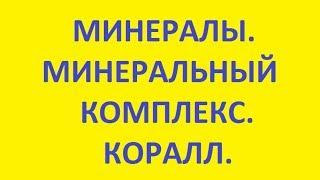Минералы. Минеральный комплекс. Коралл